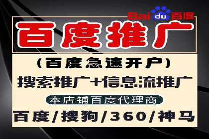 某公司如何利用SEO和SEM提升线上业务——真实案例分析